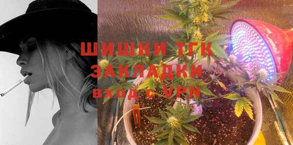 твердый Володарск